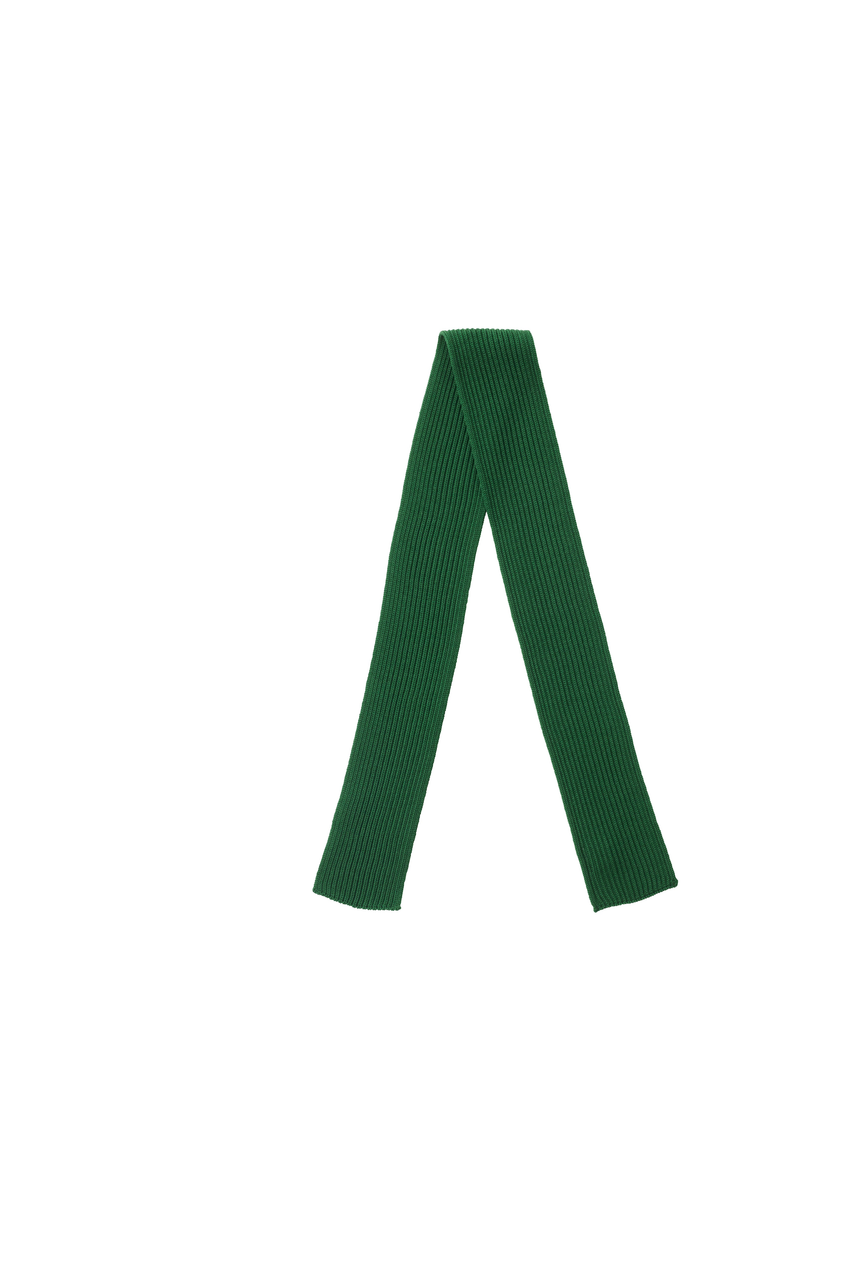 数量限定・10月末 - 11月半ばお届け予定] Short Scarf (POPEYE GREEN
