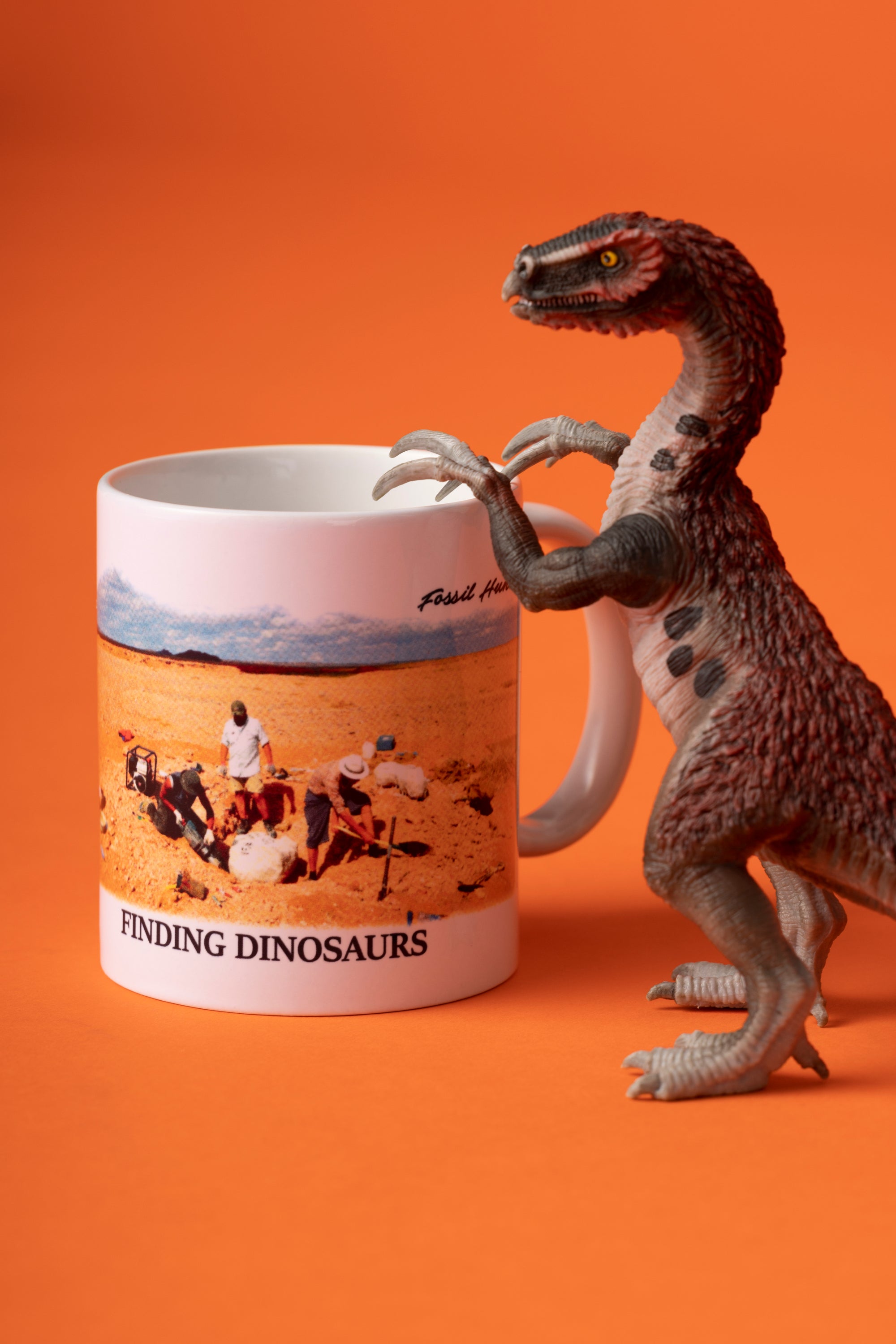 [受注生産・8月末 - 9月半ばお届け予定] SUNDAYS BEST × POPEYE: FINDING DINOSAURS Fossil Hunter Mug